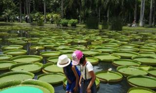 西双版纳傣族自治州