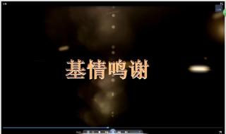 字幕文件怎么用