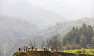 校园春色春暖花开 校园春色春暖花开